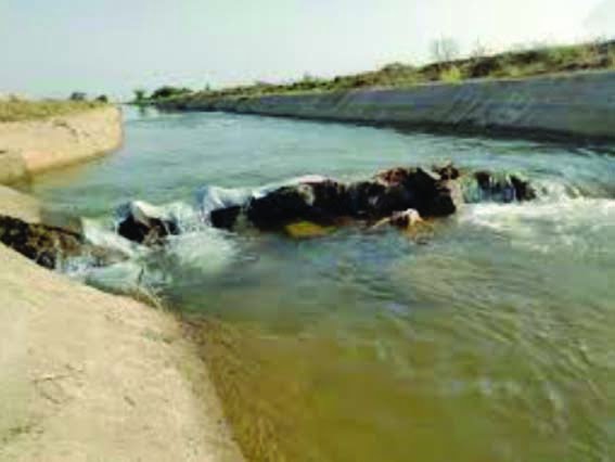 Adequate water reaches the last mile farmers' fields through canals.