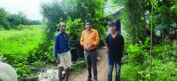 Take as per your interest after passing the board exam