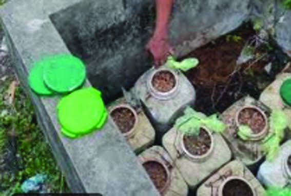 Collector orders seizure of vehicles in 6 cases of illegal liquor transportation