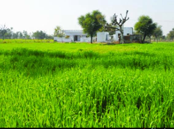 Villagers of the district are unaware of election information