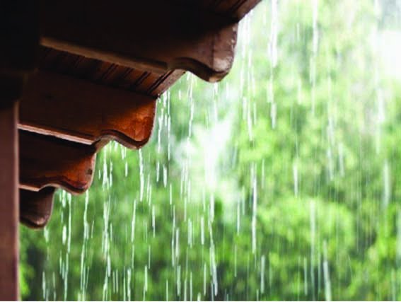 The clouds rained heavily in Harda and the weather became pleasant