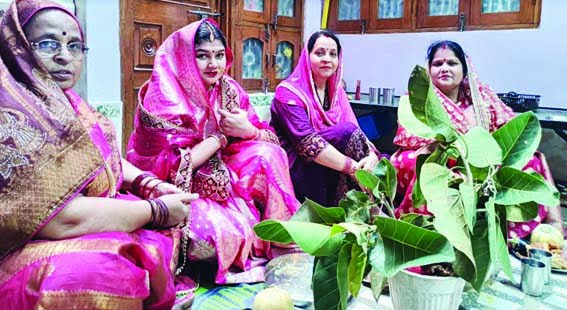 Brides performed Vatsavitri pooja