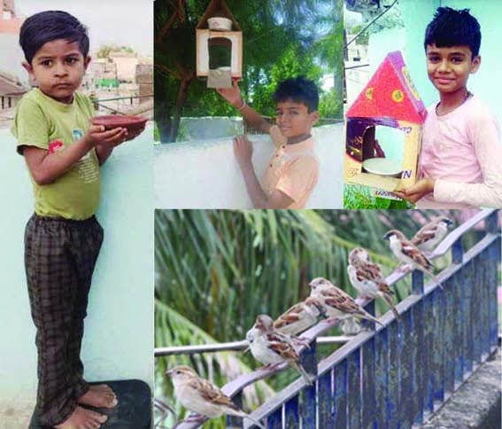 Children made a bird house and kept food and water for the birds in it