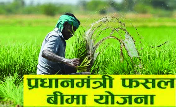 Farmers should get crop insurance to avoid risks in crops