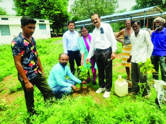 Plantation was done in village panchayats under the campaign "One tree in the name of mother"