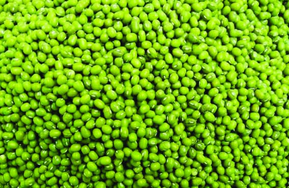 District level control room established for moong procurement