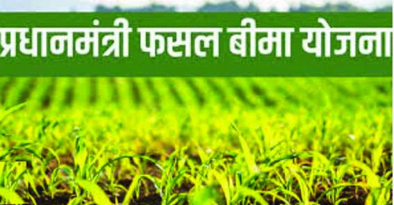 31st July under Prime Minister Crop Insurance Scheme