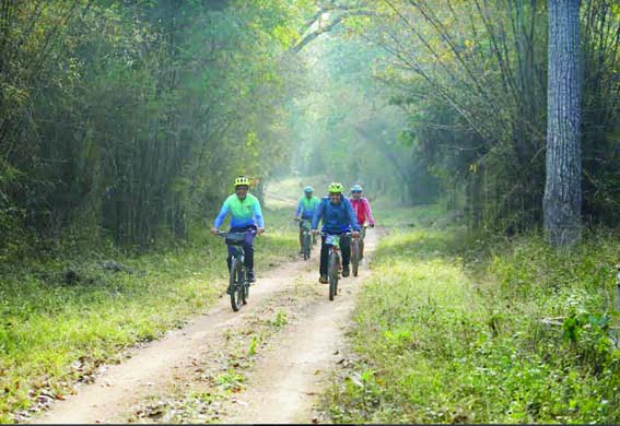 Madhya Pradesh Tourism Board organizes bicycle safari