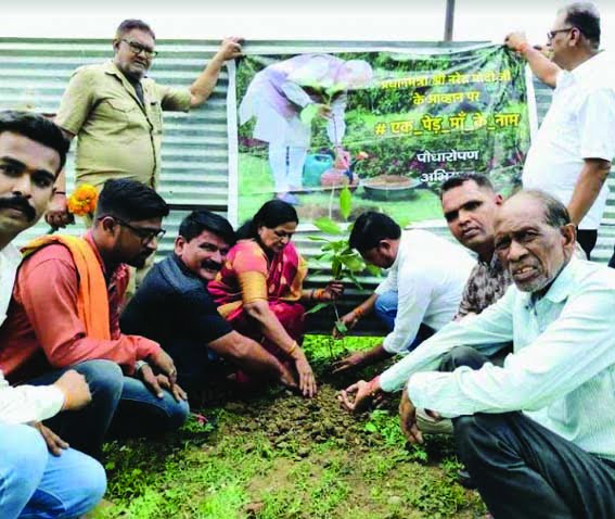 Rajya Sabha MP planted a tree under the campaign 'Ek Ped Maa Ke Naam'