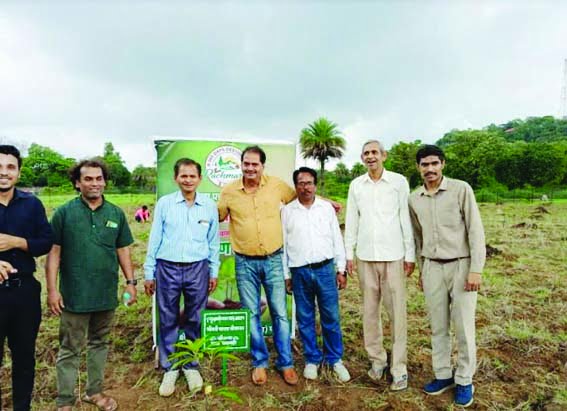 250 Bombay Green Mango plants were planted under the Ek Ped Maa Ke Naam campaign