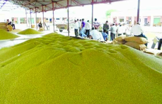 Moong crop by booking slot at procurement center