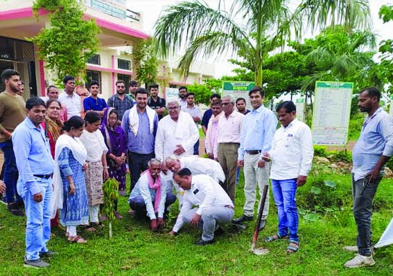 30 day mushroom grower