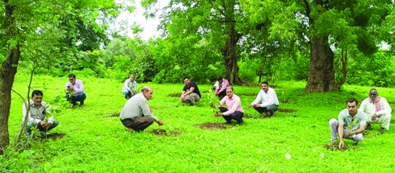 Harda district is first in the state by uploading 1.62 lakh photos of plantation