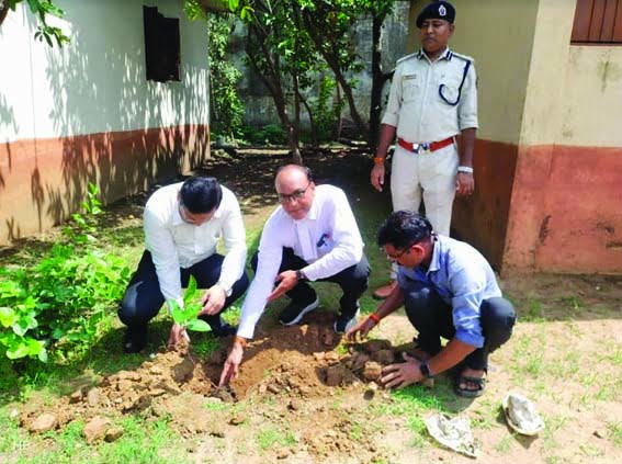 Jail inmates planted saplings and pledged to protect them