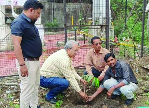 CMHO Dr. Singh planted trees in the office