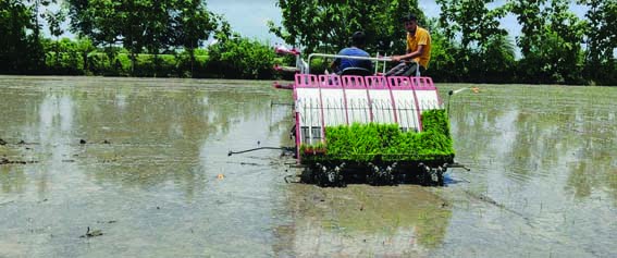 New technology was demonstrated in the farmers' fields with the help of high-tech Paddy Rice Transplanter Machine