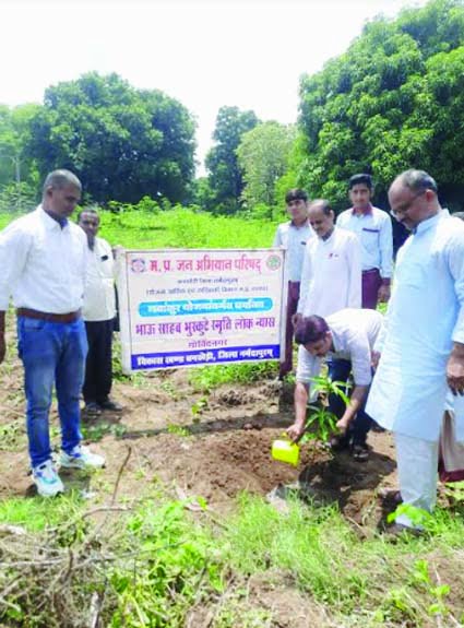 Mango Amla Jamun in school premises Gobind Nagar