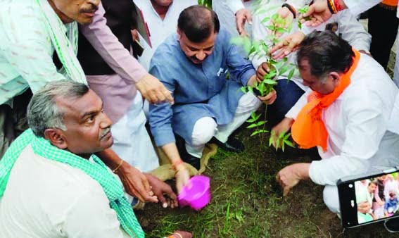 Minister of School Education and Transport Department Singh planted saplings in the Mandi premises