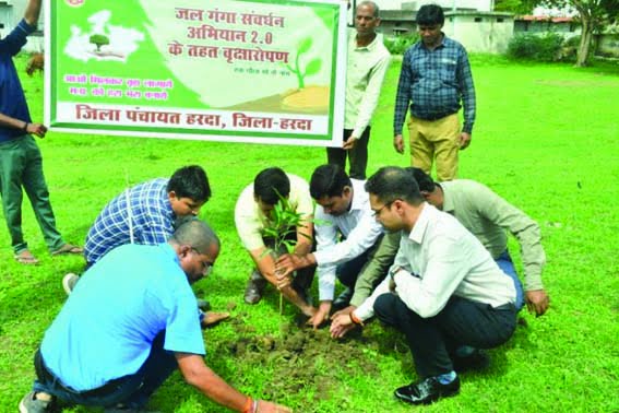 Commissioner Tiwari planted a mango tree in the district panchayat premises