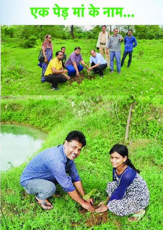 Public representatives, officials and common citizens planted trees