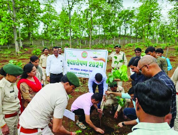 Divisional Commissioner inaugurated the campaign 'One Tree in the Name of Mother' by planting a sapling