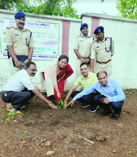 Plantation done in the district court premises