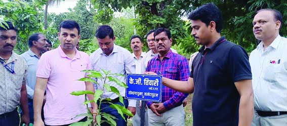 Divisional Commissioner planted saplings in the Commissioner's Office premises