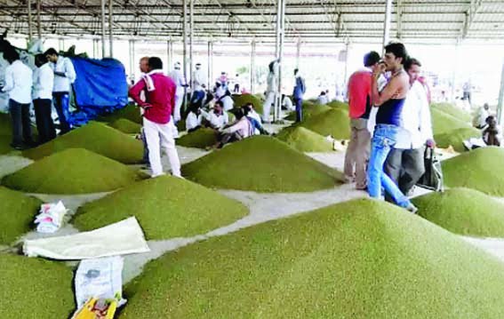 Book a slot at the procurement center