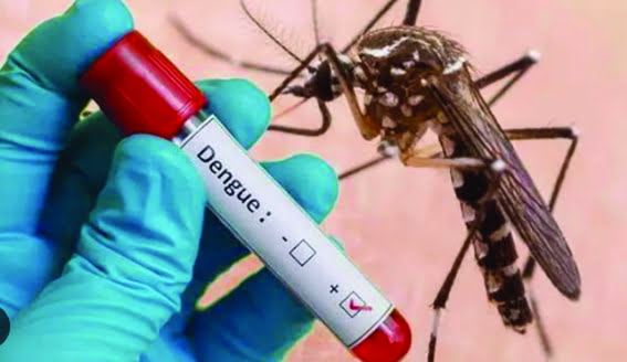 People should take precautions to prevent dengue