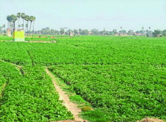 Krishi Sakhis will promote natural farming