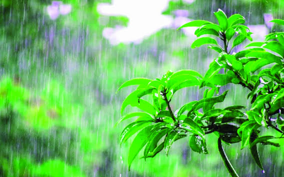 Drizzling rain continues in the city,