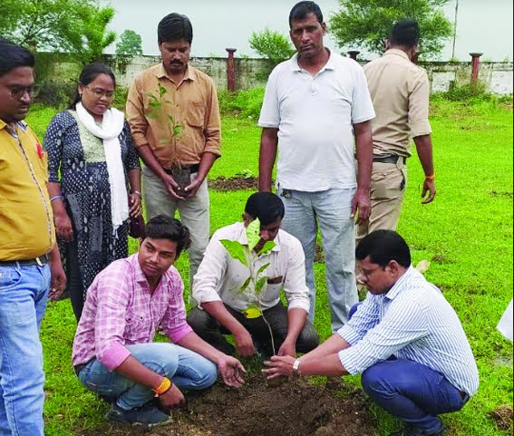 ‘One tree in the name of mother’ 50 plants planted in the transport office