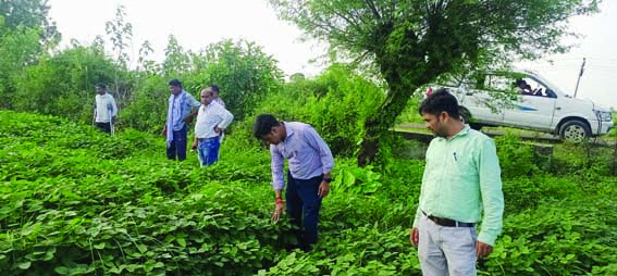 Advice to farmers regarding protection of crops from continuous rain
