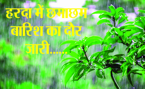 Heavy rain is continuously falling in Harda, continuous rain continues in the city...