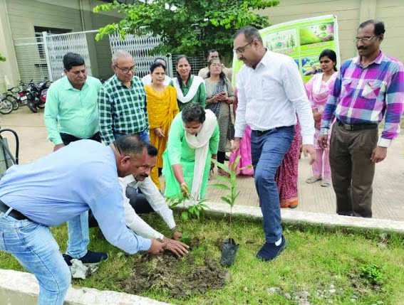 Trees planted by judges