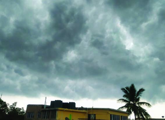 Monsoon is strong in Madhya Pradesh