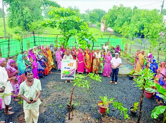 Pledge was taken under the Har Ghar Tiranga Abhiyan and plantation was done
