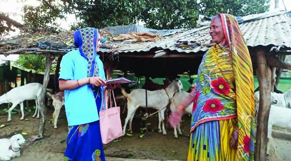 Strong relationship between livestock farmers and the department