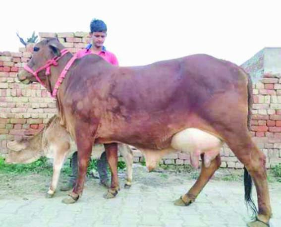 30 September for National Gopal Ratna Award