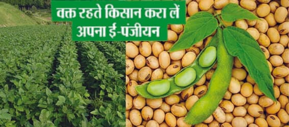 by the district administration