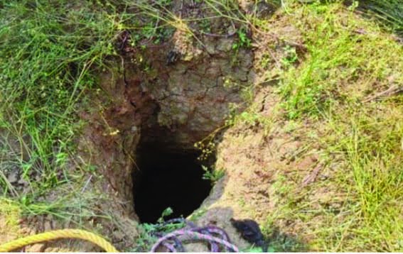Negligence in the case of open borewell