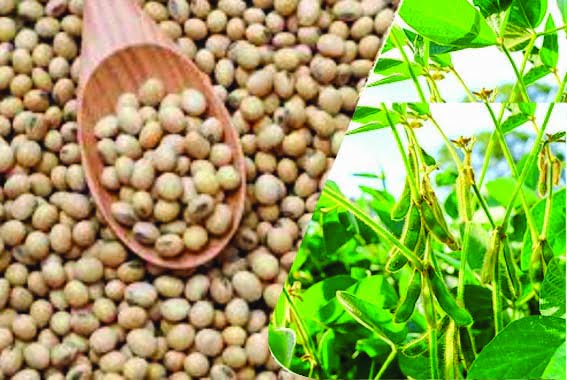 33 registration centers set up in the district