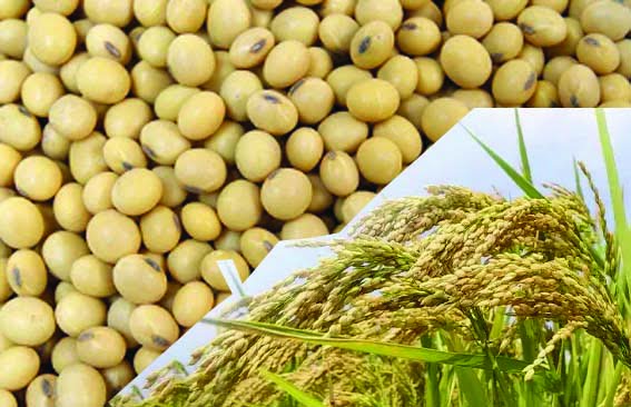 On e-procurement portal