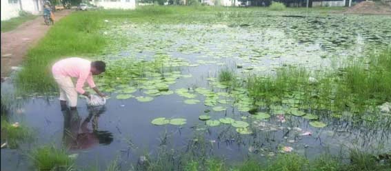 Dengue, malaria and other mosquito borne diseases