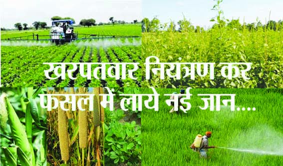 How to do it in Kharif crop