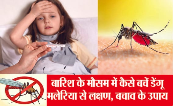CMHO on dengue and malaria