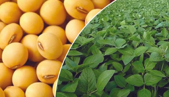 Farmers should get their registration done by 20 October