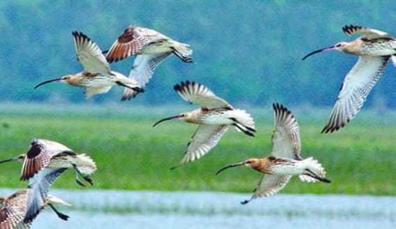 Narmadapuram district is situated on the banks of Maa Narmada River