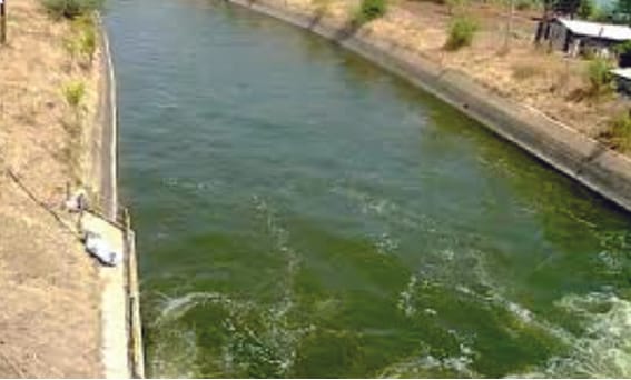 Repairing damaged canals