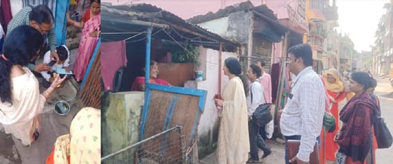 Larvae destruction in Gwaltoli